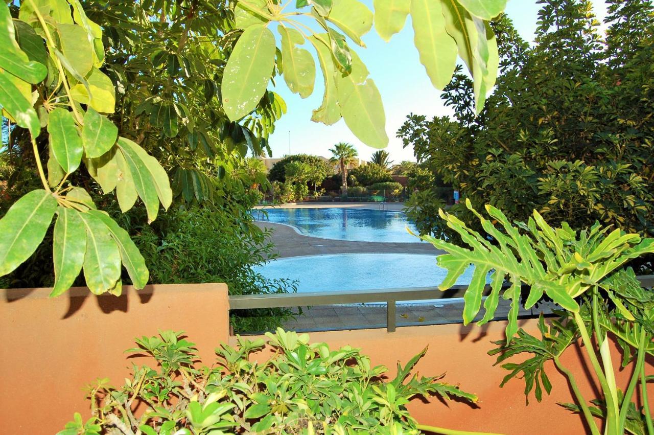 El Medano. Paradise. Apartment